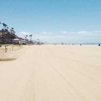 Dr. Jyothsna